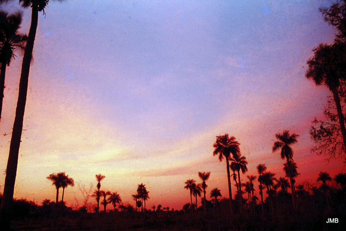 AÑO 1980 - COLOR - VIDA CAMPESINA EN PARAGUAY (JOSÉ MARÍA BLANCH)